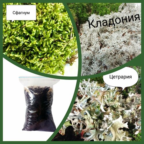 ������ ������ ����� ��� ���������� 