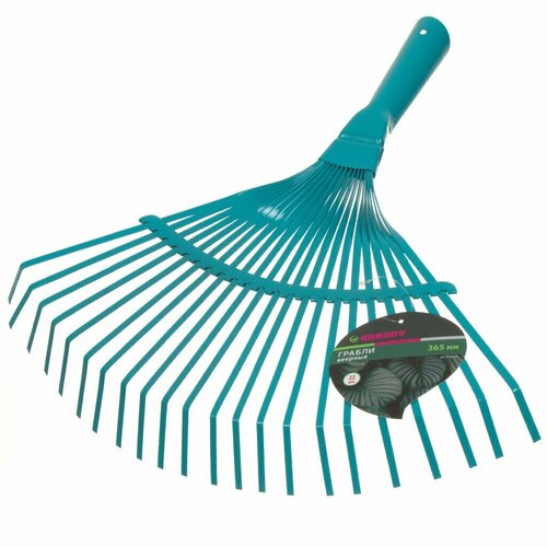 ������ ������ ������ �������, 22 ���, ������, 36.5 ��, Grandy, ��� �������, 402506 ����