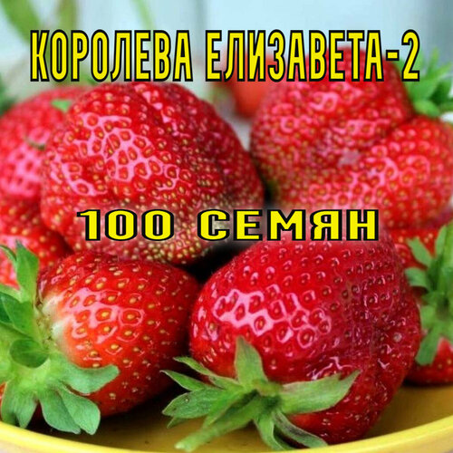 ������ ������ �������� ���������-2 100 �� ����