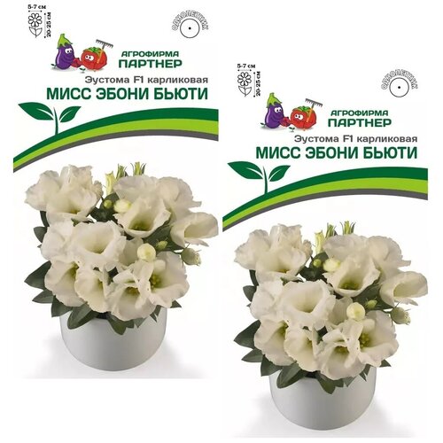 ������ ������ ������ ������� ���������� ���� ����� ����� F1 /��������� �������/ 2 �������� �� 5 ����� ����