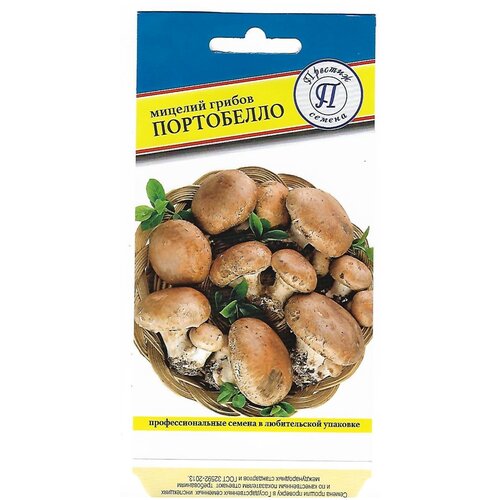 ������ ������ ������ ���������� ����