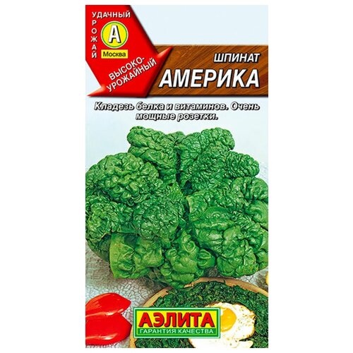 ������ ������ ������. ������ 