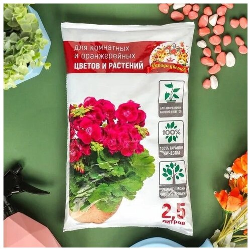 ������ ������ ����� ��� ��������� � ������������ ������ ������ ������ 2.5 � ����