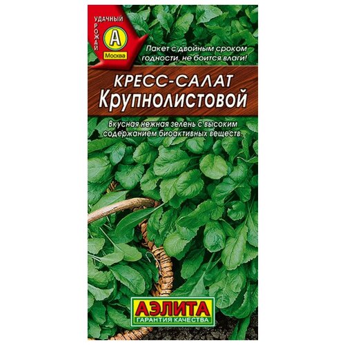 ������ ������ �����-����� �������������� (1�) - ������ ������ ����