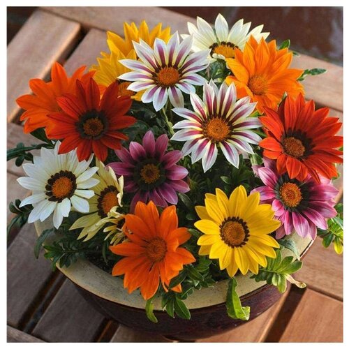 ������ ������ ����������� ���������� - ������ ����