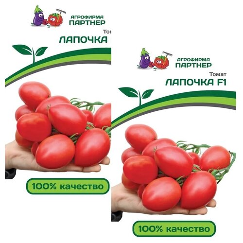 ������ ������ ������ ����� ������� F1 /��������� �������/ 2 �������� �� 10 ����� ����