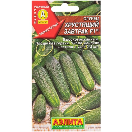 ������ ������ ������ ��������� ������� F1 10 ��. ����