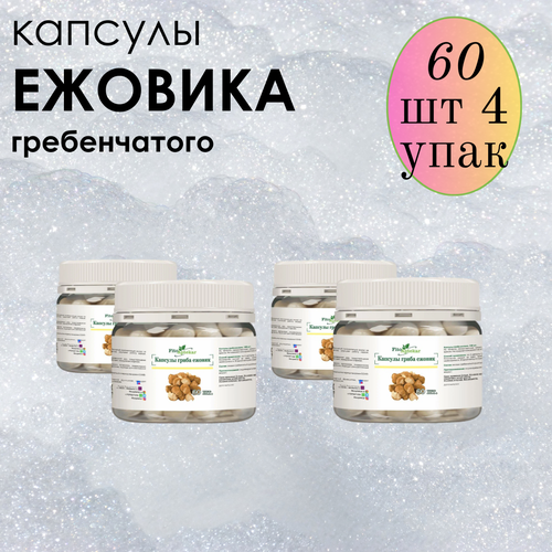 ������ ������ ������ ���� ����������� � �������� ����-��������, ����������� ������� ������� 60 ��*4 �������� ����