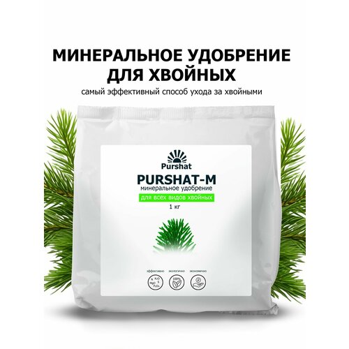 ������ ������ ��������� ������ ��� ������� �������� 1 �� ����