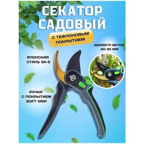 ������ ������ �������, ������� ���������������� �������� ��� �������� � ������ ����