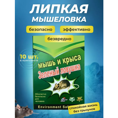 ������ ������ ��������� ������ ��� �����, ������� ��� ���� � �����, 10 ���� ����