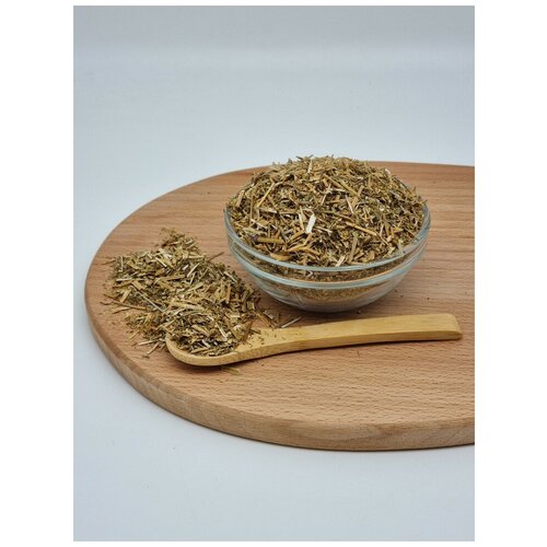 ������ ������ ������� ����� 1�� ����