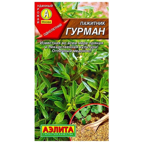 ������ ������ ������. �������� 