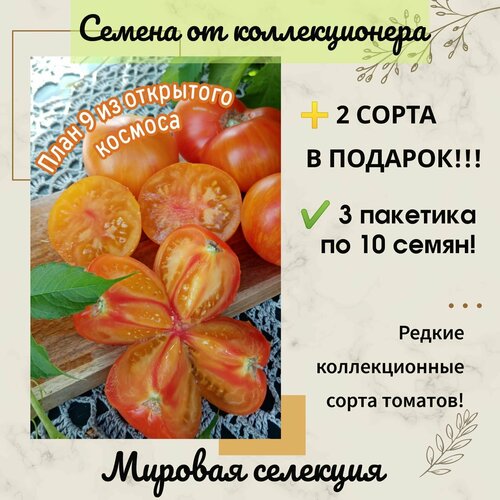 ������ ������ ����� ���� 9 �� ��������� �������, �������� ���� ��������, ���, ������������� ���� ����