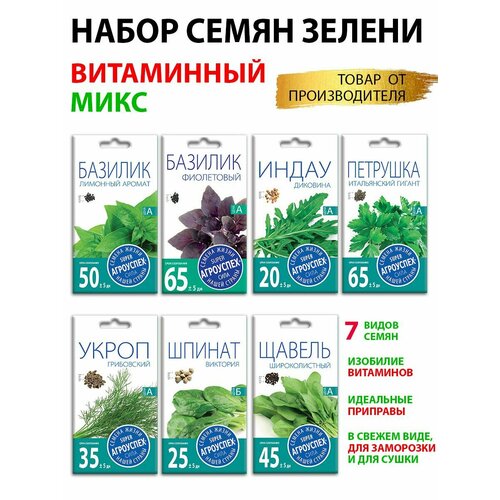 ������ ������ ������ ������ ������ 7 ������ ����