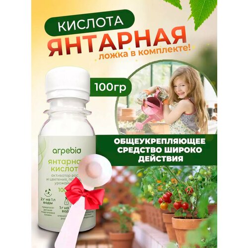 ������ ������ �������� ������� ������������� ��������� ���������� �����100 ����