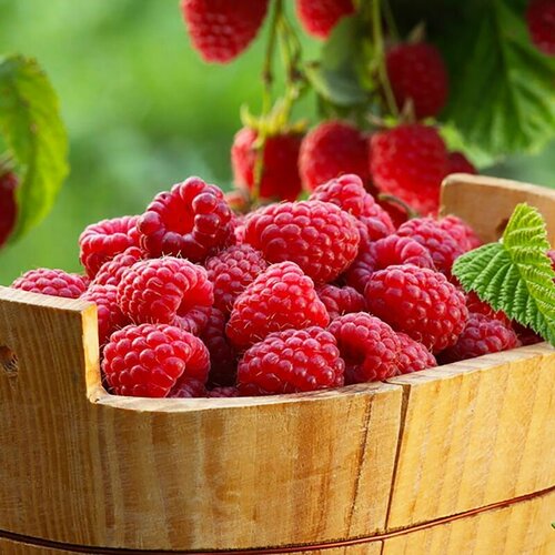 ������ ������ ������ ������, ������, 20 �� ����