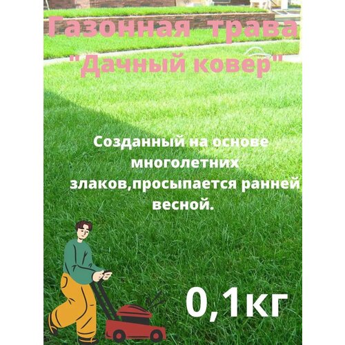 ������ ������ �������� ����� 