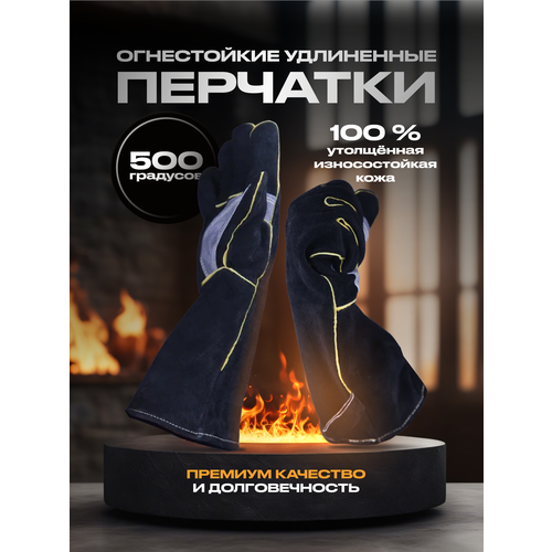 ������ ������ ������������ ��������, �����������, ��� �����/������/������, ����������, ������, 2 ���� ����