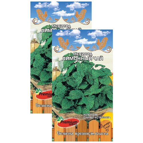 ������ ������ ������� �������� ��� (0,1 �), 2 ������ ����