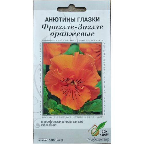 ������ ������ ������� ������ �������-������, ���������, ���������� �����, �������� ��� ��������, 5 ����� ����