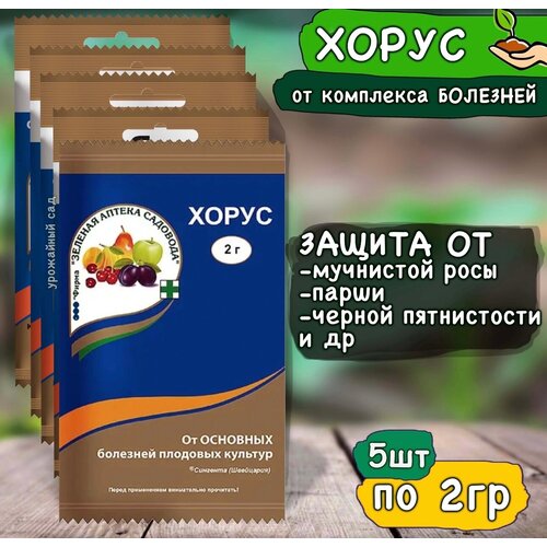 ������ ������ ����� �������� ��� ������ �������� �� ��������, ��������, ��� �������� �������, 5�� �� 2� ����