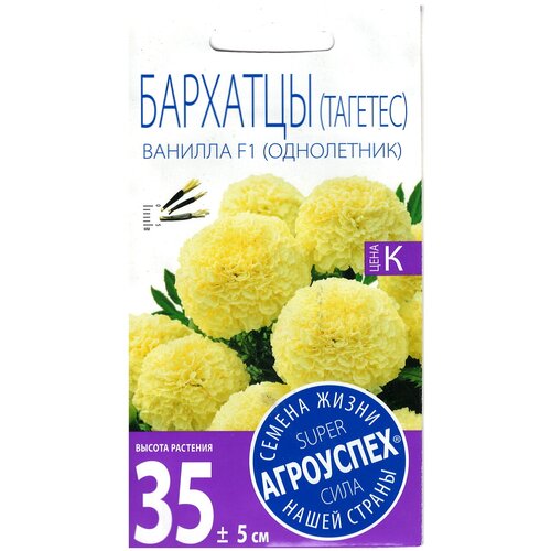 ������ ������ ������ ������ �������� 