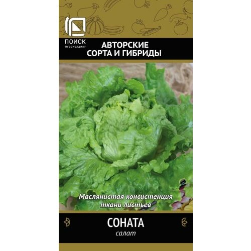 ������ ������ ������ ����� ������ �������� 1� (�����) ����� ����