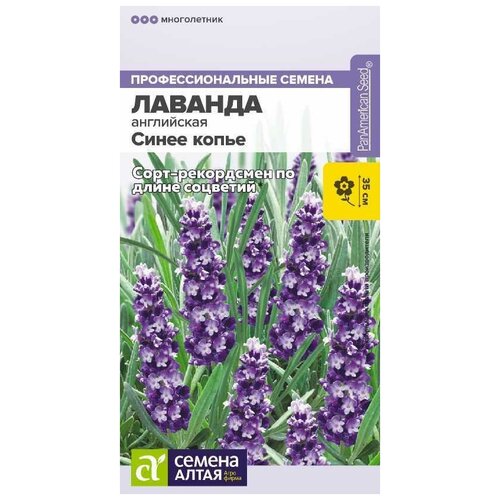 ������ ������ ������ ������� ���������� 