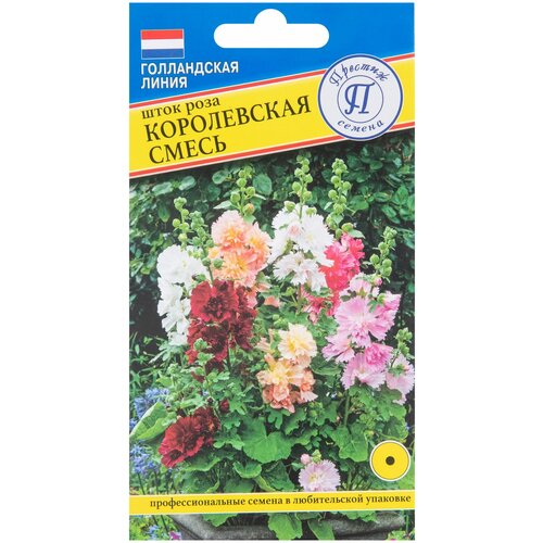 ������ ������ ���� ���� ����������� �����, 0.1 � ����