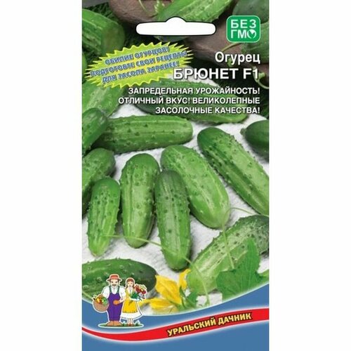 ������ ������ ������ ������ ������ F1 ��. 10�� ����