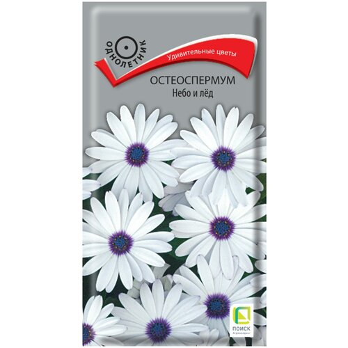 ������ ������ ������ ����� ������������ ���� � ��� 0.1 � ����