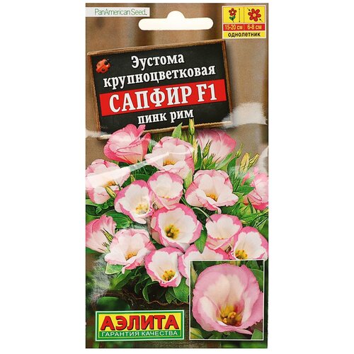 ������ ������ ������ ��������� ������ ������� ������ F1 ���� ��� 5 �� ����