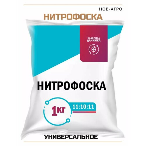 ������ ������ ���������� 1�� ����