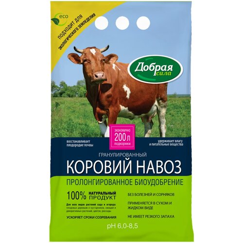 ������ ������ ��������� ������ ���� ������� �����, 2 �, 2000 �, 1 ��. ����