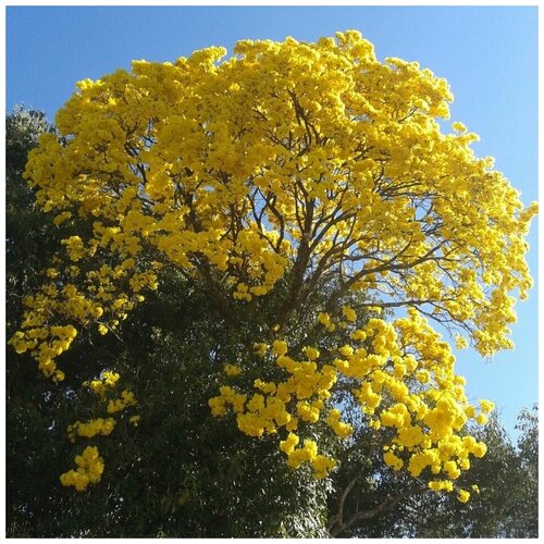 ������ ������ ������ ������ �������� ������ 25 ��. ����