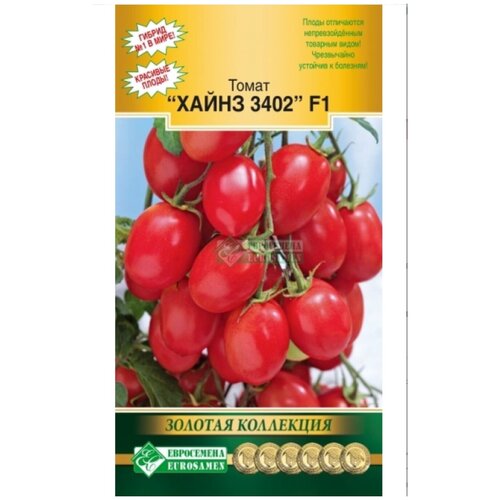 ������ ������ ������ ����� �����( �����, �����)3402 (5�����) ����