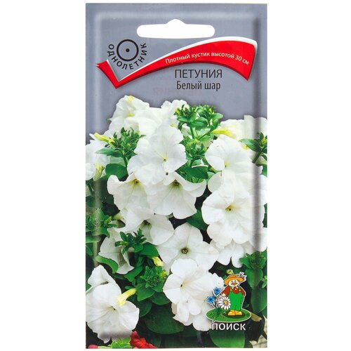 ������ ������ ������ ����� ������� ����� ��� 0.1 � ����