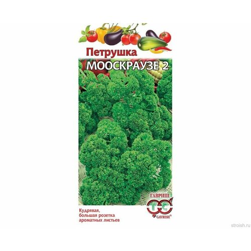 ������ ������ ������ �������� ���������� 2 �������� 2� ������ (������) ����