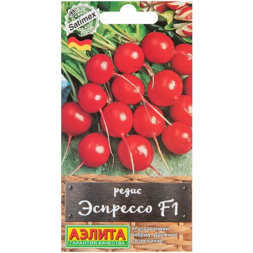 ������ ������ ������ ����� 