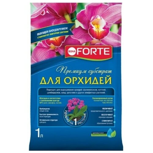 ������ ������ �������� ��� ������� 1 � ����