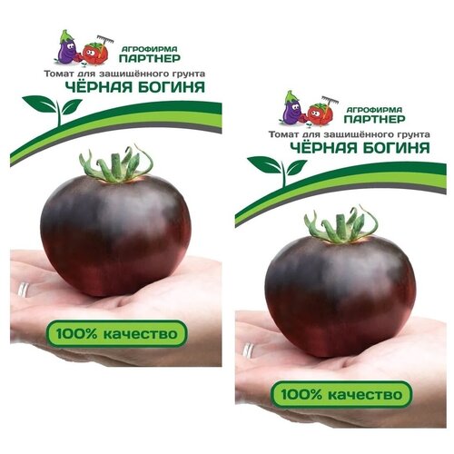 ������ ������ ������ ����� ������ ������ /��������� �������/ 2 �������� �� 10 ����� ����