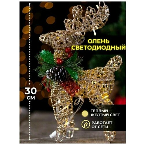 ������ ������ ���������� ���������� ������������ ����� 30c� ����