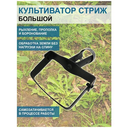 ������ ������ ����������� ��� ����������� ����� ������� 12 �� ��� ������� ����