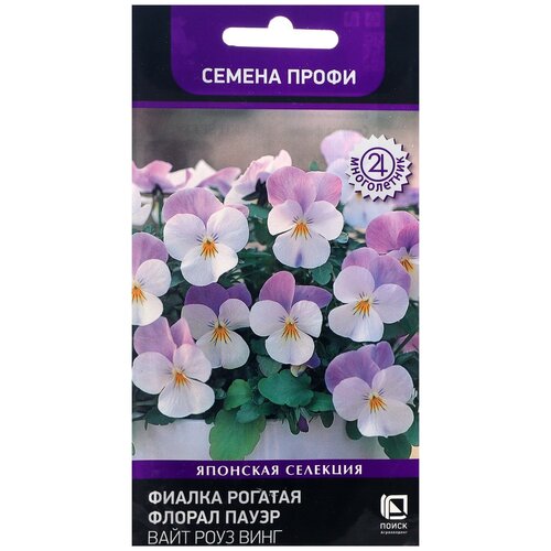 ������ ������ ������ ����� ������ ������� ������ ����� ���� ���� ���� 10 ��. ����