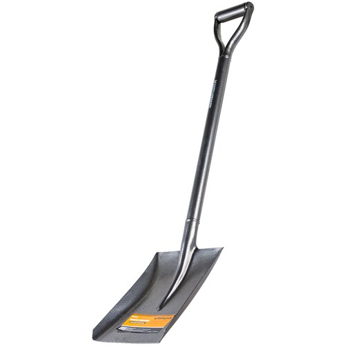 ������ ������ ������ �������� �������, �������������������, 1000 �� ����