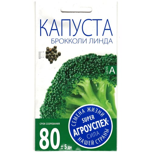 ������ ������ ������ ��������� 