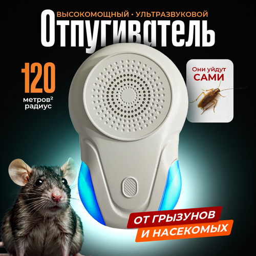 ������ ������ ������������ �����, �������, ����, ��������� ��������� �������������� ����