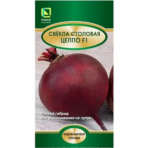 ������ ������ ������ ������ �������� 