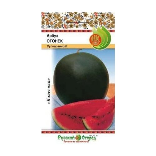 ������ ������ ����� 